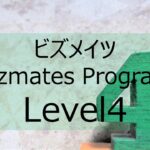 Bizmatesprogram-level4