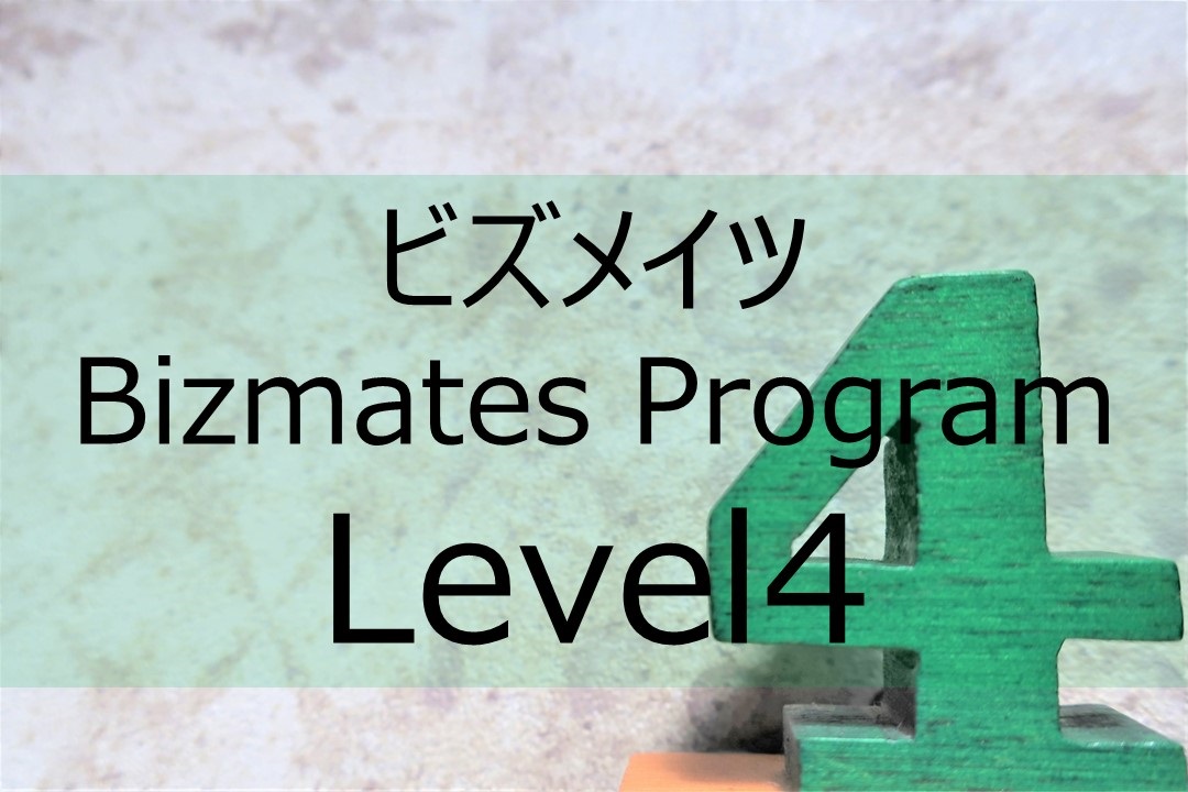 Bizmatesprogram-level4