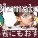 Bizmates-beginner